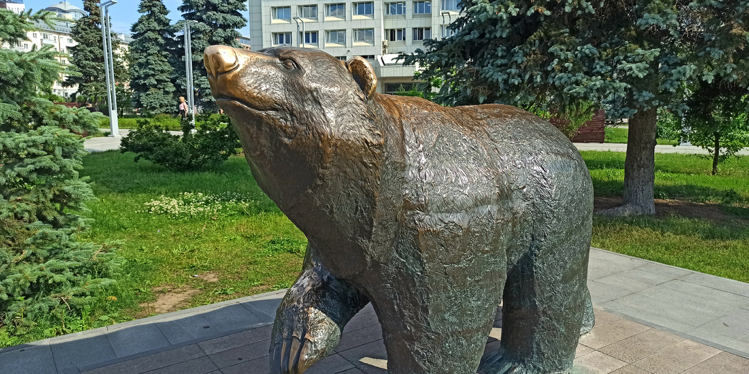 Медведи на улицах Перми!