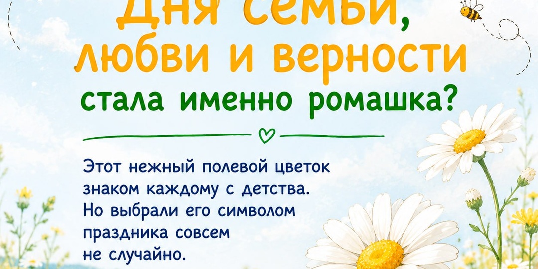 🌼 Почему именно ромашка стала символом Дня семьи, любви и верности