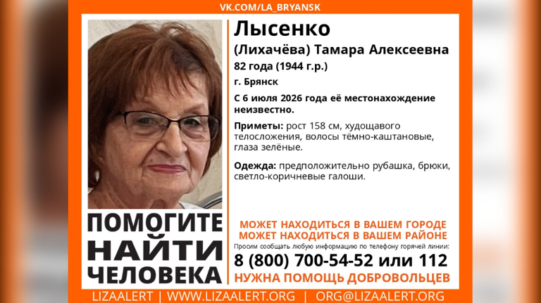 Пропавшую в Брянске 82-летнюю Тамару Лысенко нашли погибшей