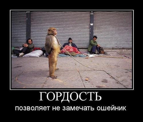 Почему Бог гордым противится и как это проявляется?