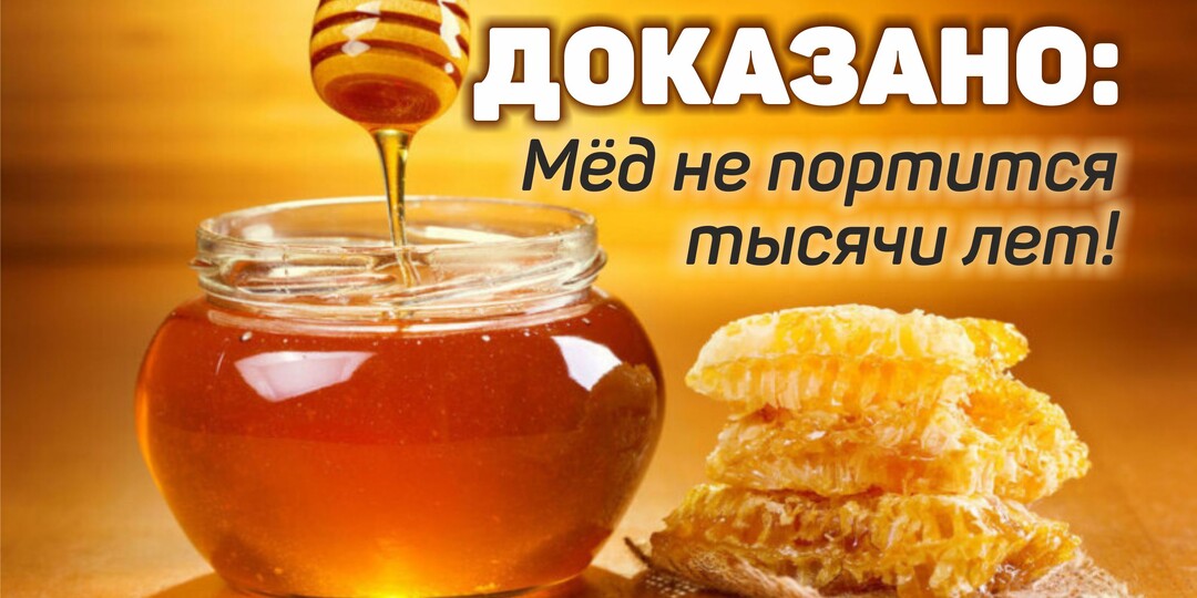 Почему мёд не портится тысячи лет?
