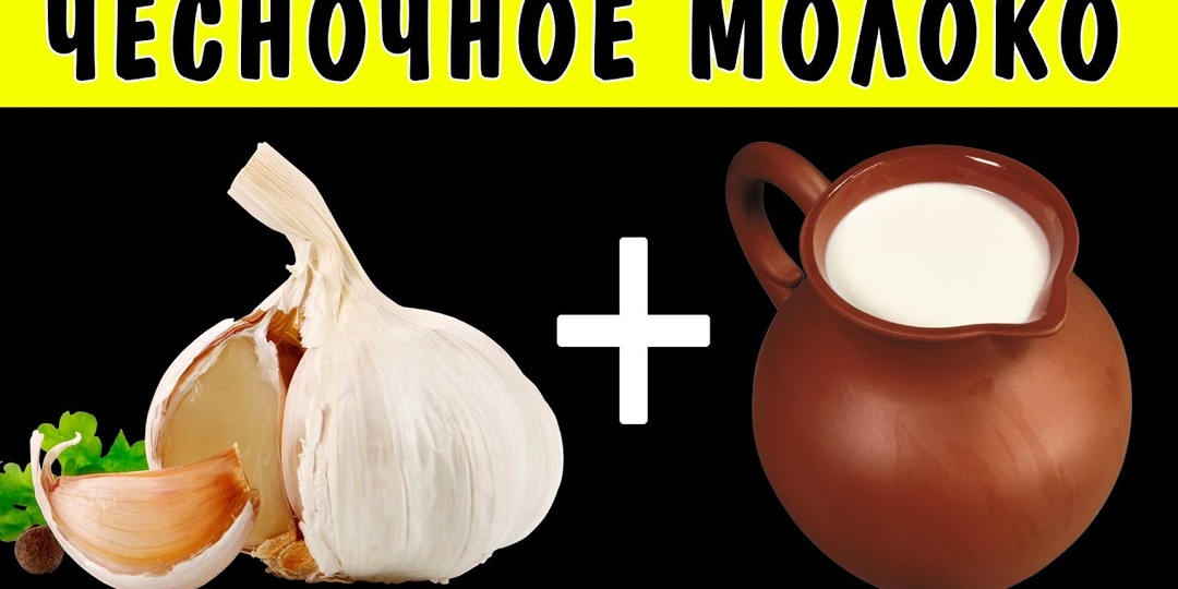 Молоко с чесноком – лучшие рецепты для сохранения молодости и здоровья