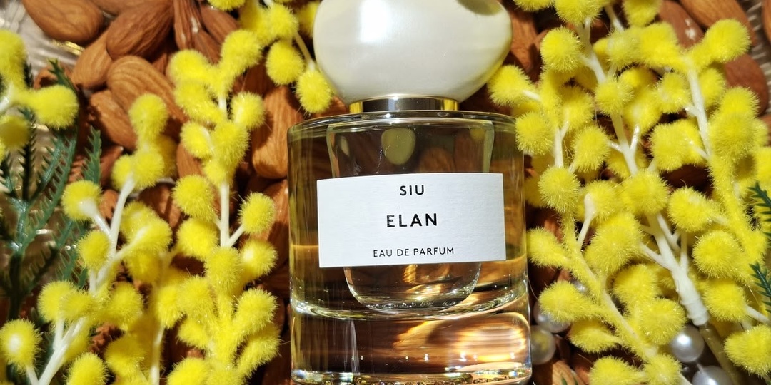 Абрикосы с мимозой Elan SIU