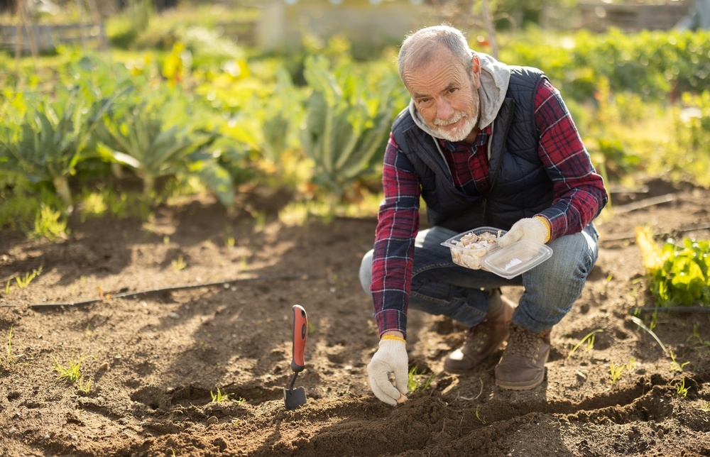    Shutterstock/FOTODOM