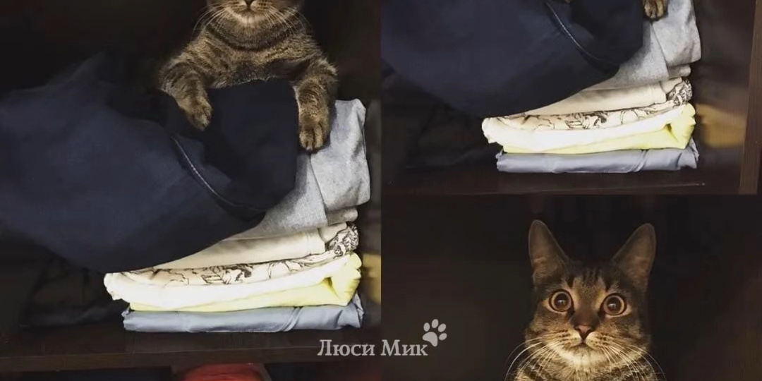 За эти несколько часов я, кажется, поседела..