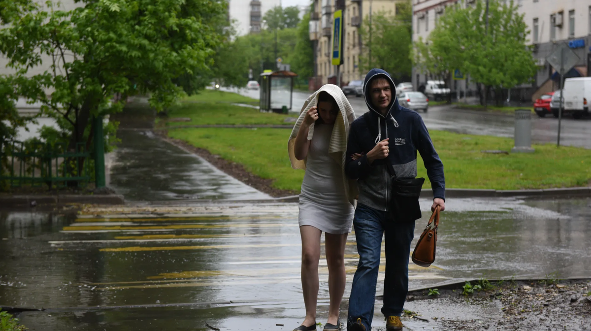 медиасток.рф