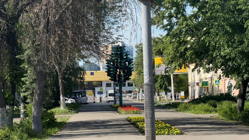    фото автора; vk.com/voopik_pnz