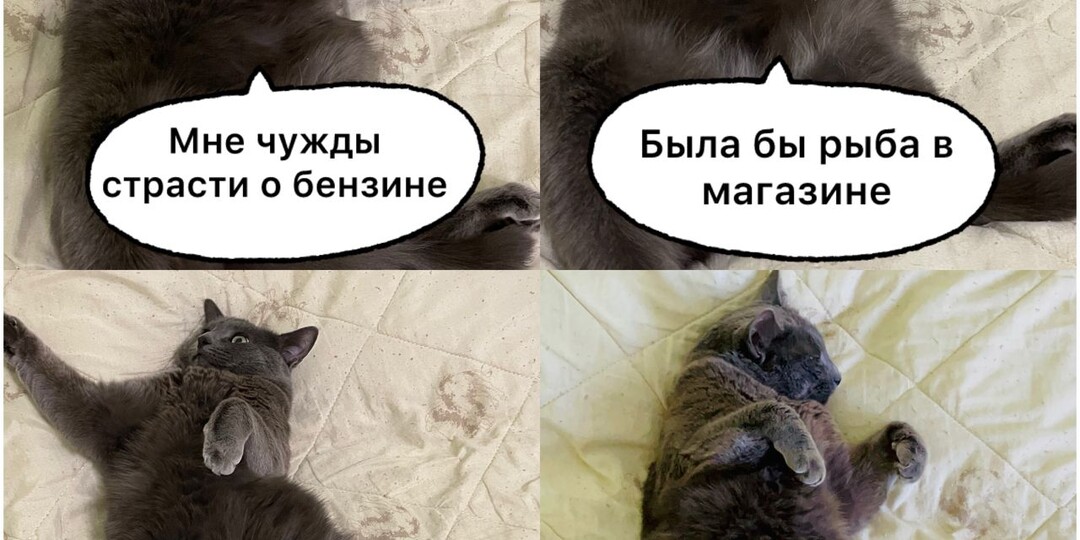 9 забавных мемов, которые помогут тем, кого все достало