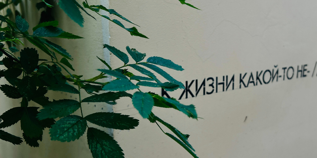 Книжная прогулка по Литейному