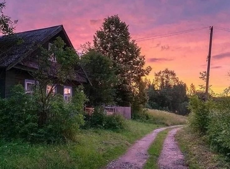 СУХАЯ ВЕТКА