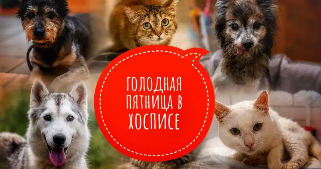 В частном хосписе голодная пятница! И суббота, и воскресенье…