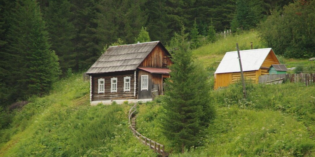 ПОСЛЕДНЯЯ КАРТОШКА