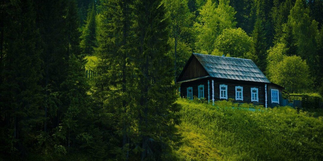МОЛЧАНКА ЗА ОКНОМ