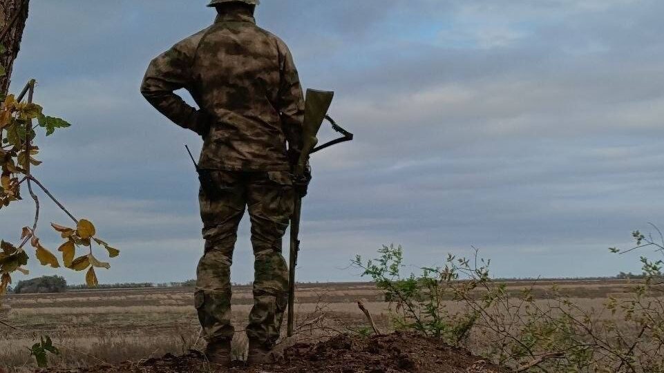 Слева лес а справа поле