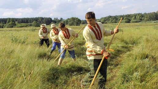 https://avatars.dzeninfra.ru/get-zen_doc/271828/pub_6a511443eb54cb5926ae711e_6a51167724f2c05c53c09bdb/smart_crop_516x290