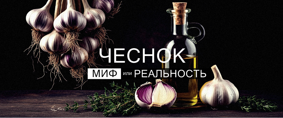 Чеснок миф или реальность