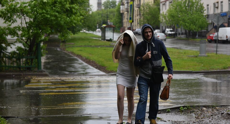    Последствия урагана в московском регионе / Медиасток.рф