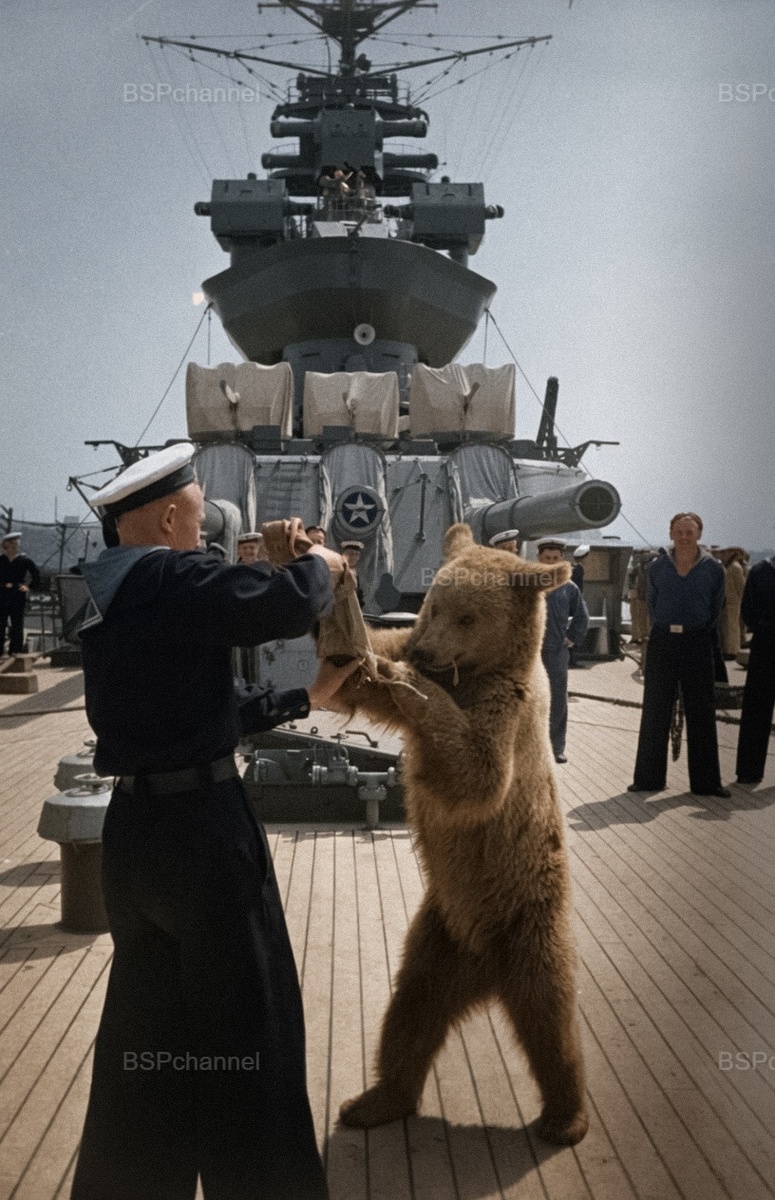 Фотограф: Н. Веринчук
