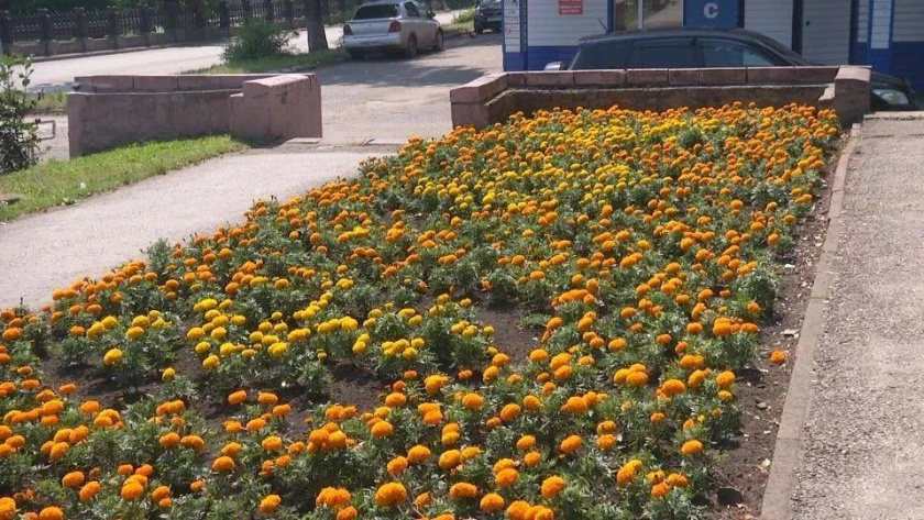    Фото из канала главы Киселевского городского округа в MAX