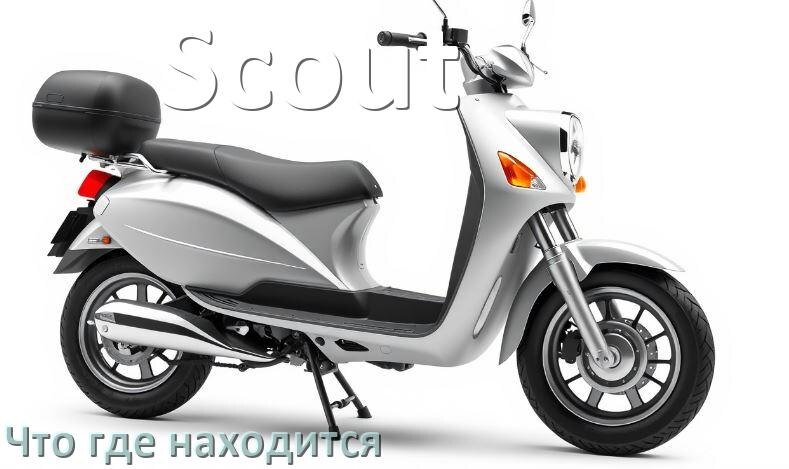 
Что где находится у мопеда Scout схема расположения деталей