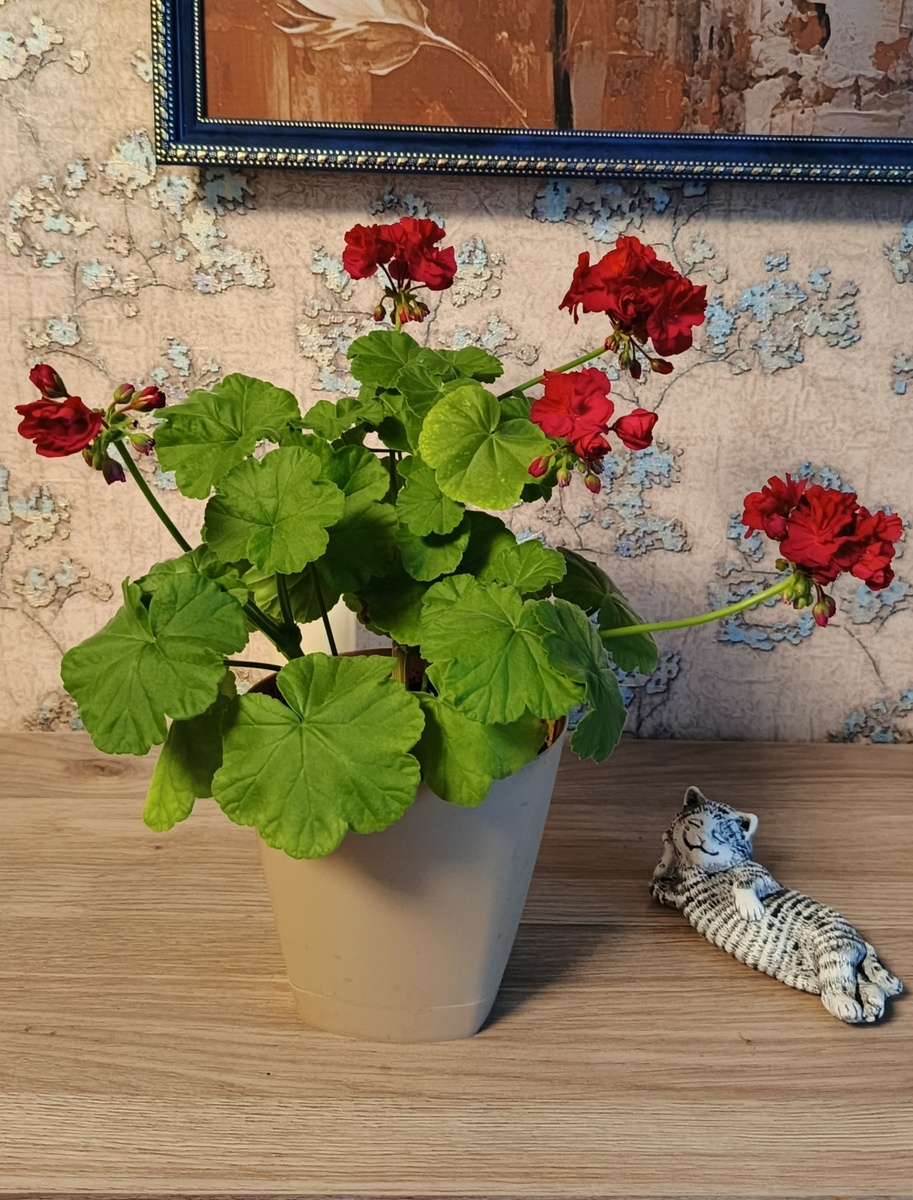 Капля черники