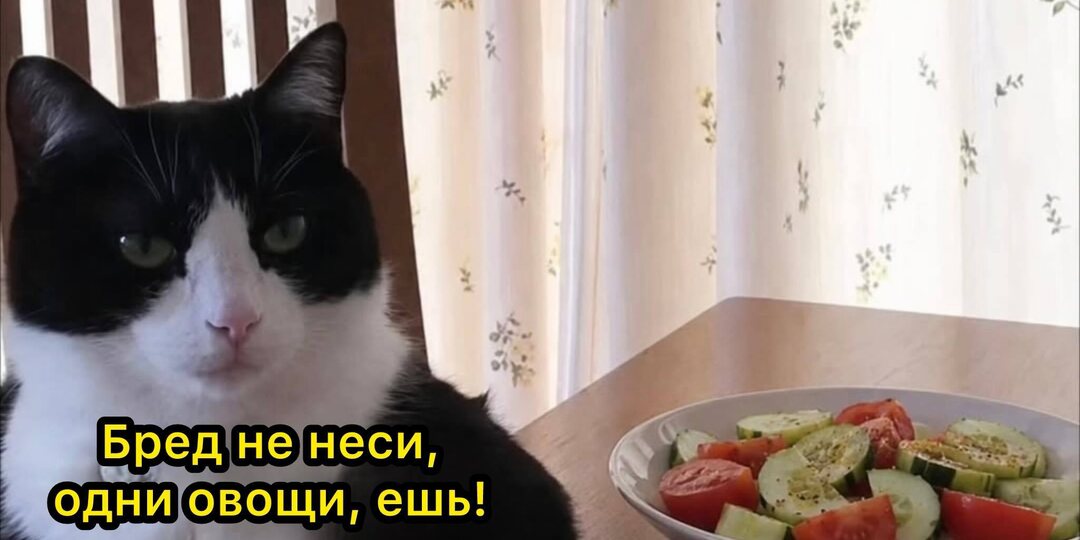 #мемдня