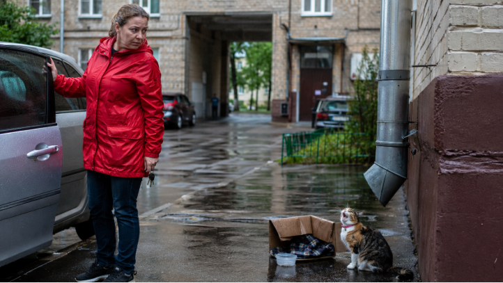 Кошку выбросили под дождём в незнакомом дворе. Через месяц она заснула у ног новой хозяйки