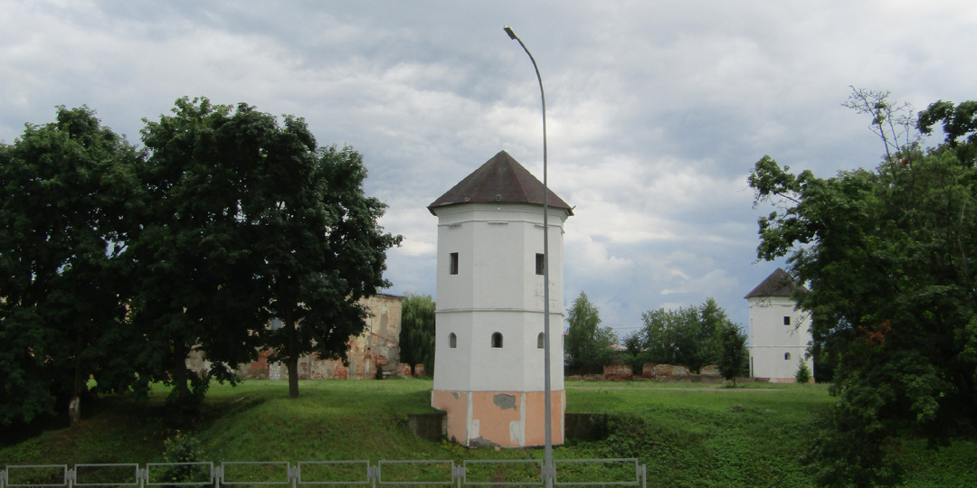 Быхов