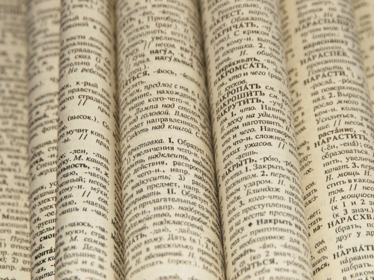    Словарь русского языка | © Fotolia / daria_riza