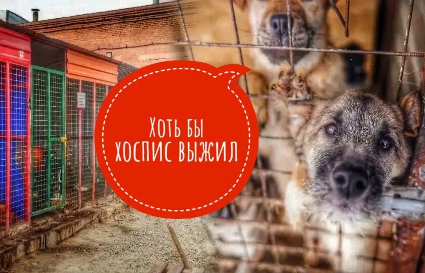 Людиии, день 100, чтобы ХОСПИС ВЫЖИЛ!