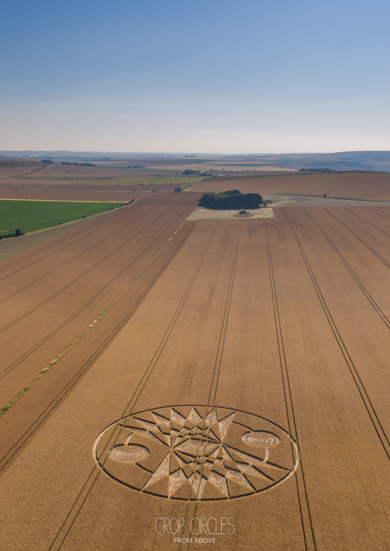 11.07.2026 г. Круги на полях. Англия, графство Уилтшир. Ссылка: https://www.cropcircleconnector.com/2026/roundway/roundway2026a.html