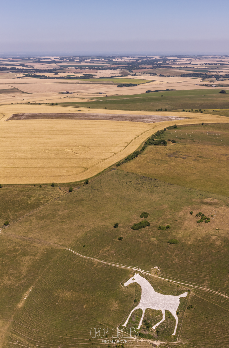 12.07.2026 г. Круги на полях Англии, графство Уилтшир. Ссылка: https://www.cropcircleconnector.com/2026/milkhill/milkhill2026a.html