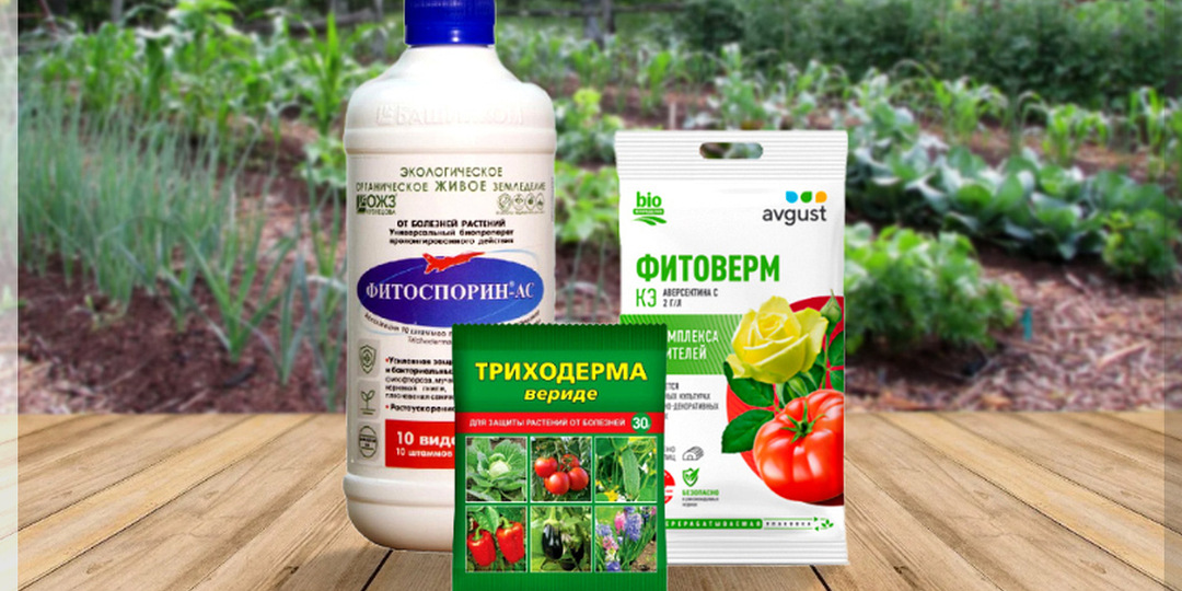 Биопрепараты от А до Я: подробный ликбез по биопрепаратам в вопросах и ответах. Часть 23