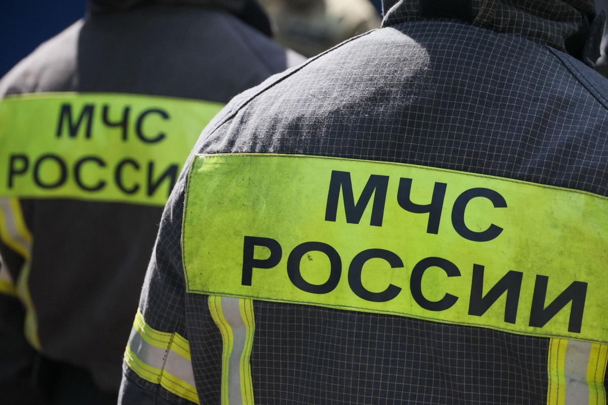    Алексей Белкин/NEWS.ru