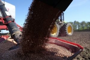Осужденный по делу омского «Зерна Сибири» просил заменить срок принудительными работами