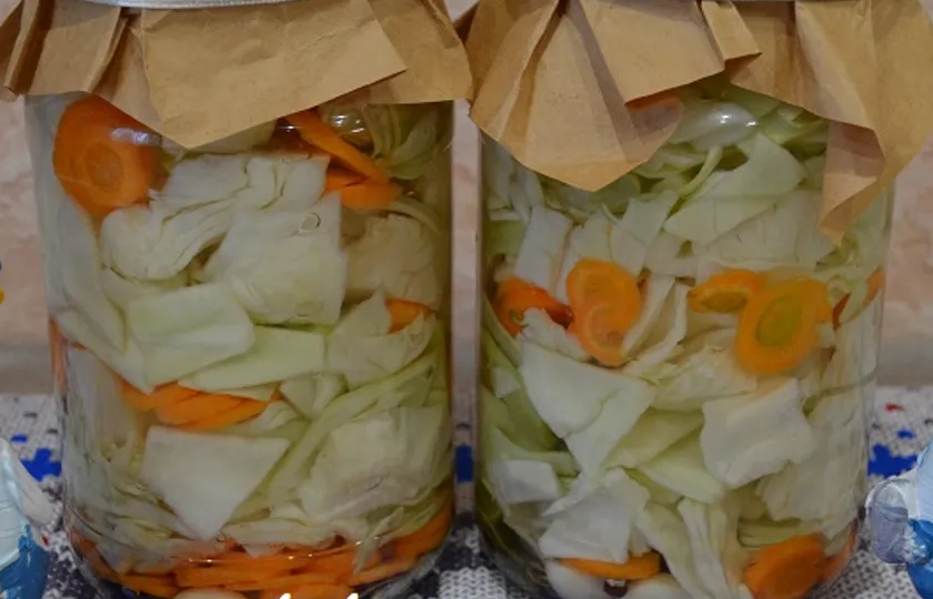 Маринованная капуста дома: быстрая капуста кусочками и Пелюстка