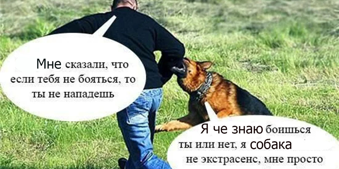 Правда ли, что собаки лают на плохих людей