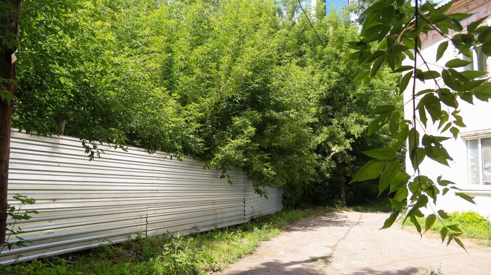    Участок под застройку на ул. Смирнова, 94. Июль 2026 года. Источник: Виталий Барабаш/"Толк"