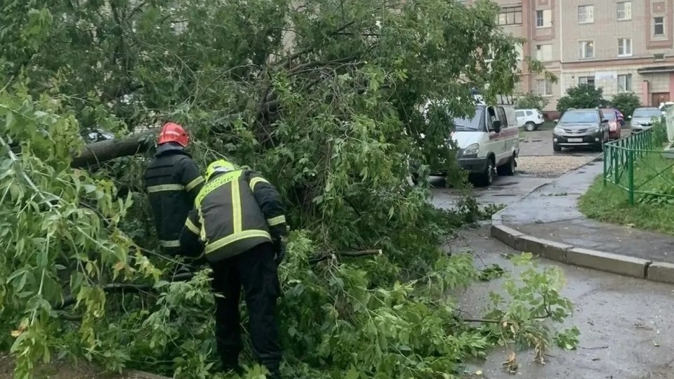 Устранение последствий шторма, обсуждение ограничений на заправку транспорта и ночной поиск пенсионерки в лесу: главные новости Костромы и области на утро, 14 июля