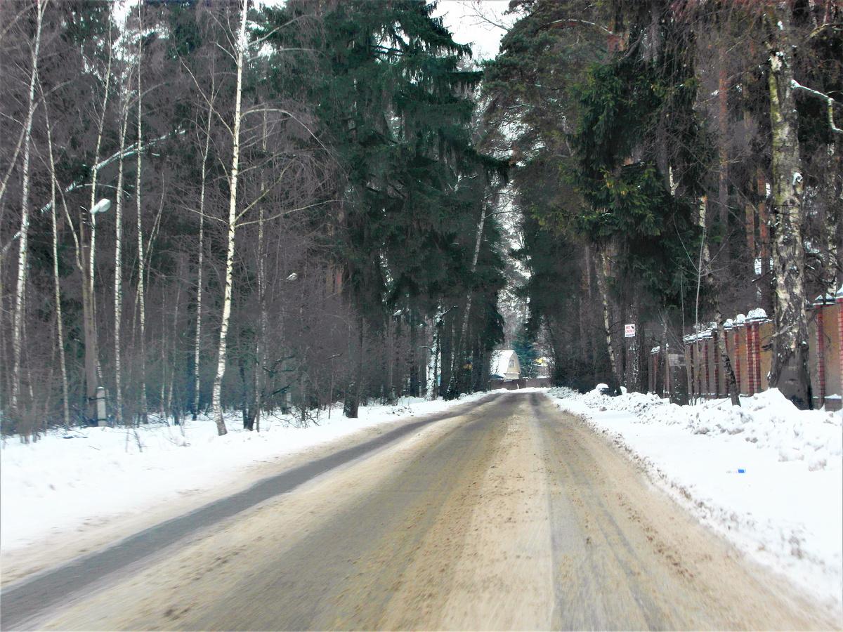 Дорога в Лозу