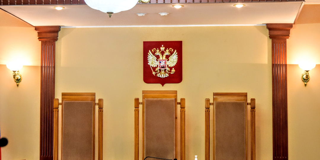 В Омской области браконьер пойдёт под суд за отстрел двух лосих