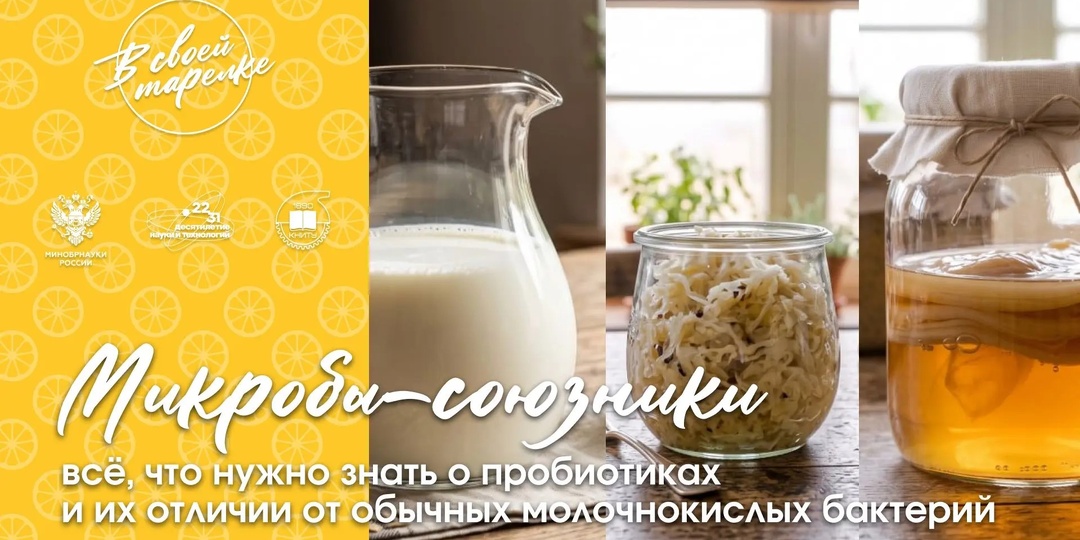 Микробы-союзники: всё, что нужно знать о пробиотиках