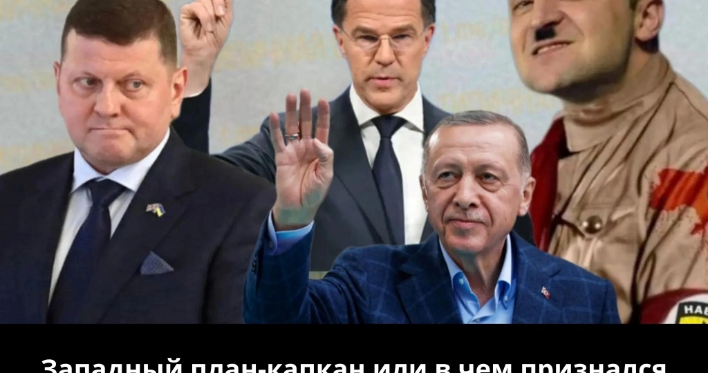 Западный план-капкан или в чем признался генерал Залужный?