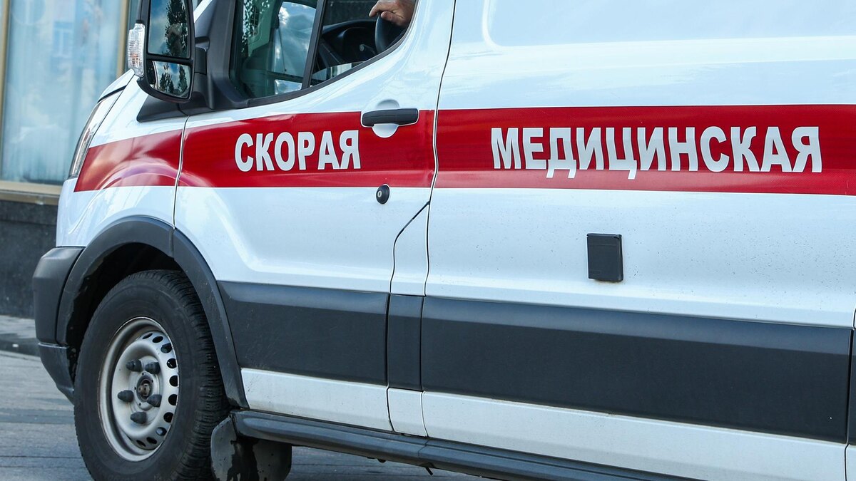    Фото: Petrov Sergey/globallookpress.com