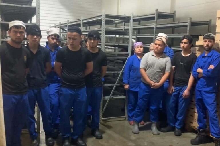 Почти девять тысяч иностранцев покинули Новосибирскую область за неделю