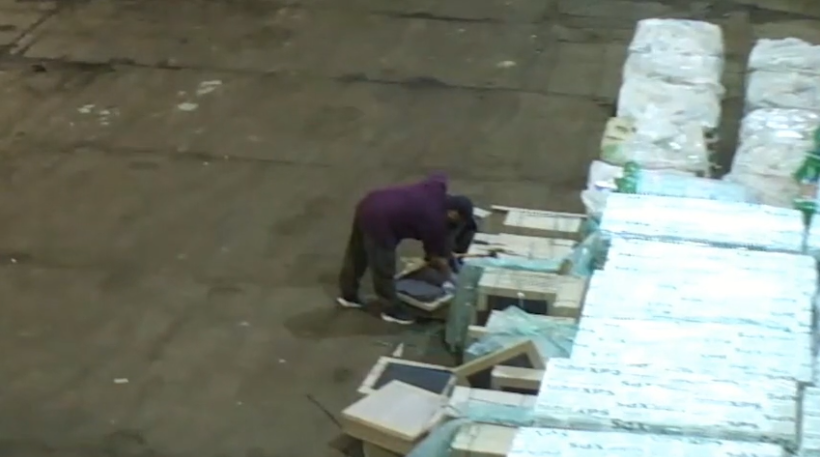    «Охреневший вконец отброс». ФСБ назвала украинского рэпера Киевстонера координатором провального теракта на объекте ВПК в Подмосковье