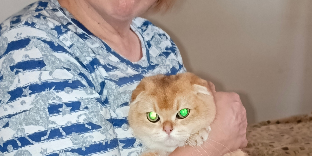 Соловей, пташечка! Как мы потеряли кота... в квартире