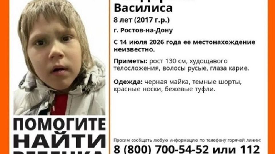 8-летнюю девочку ищут в Ростовской области