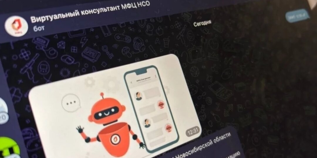 Социальные МФЦ помогли 13 тыс. новосибирцев за первый год работы
