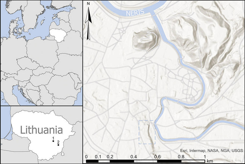 Расположение исследованного могильника
Giedrė Motuzaitė Matuzevičiūtė et al. / Antiquity, 2026
